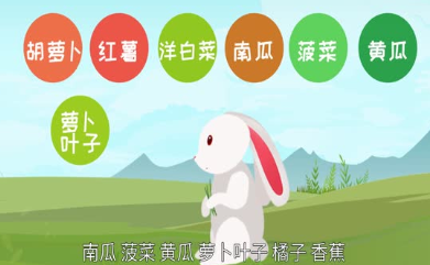 兔子喜欢吃什么 养兔子要注意什么