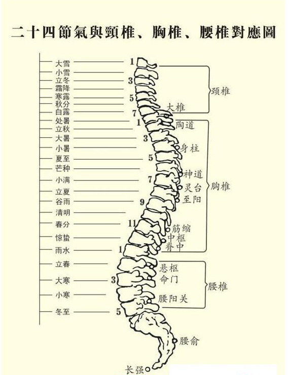 24节气和人身体的关系 24节气代表人身体哪个部位