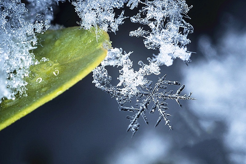 大雪节气的风俗食物 大雪节气有何说法