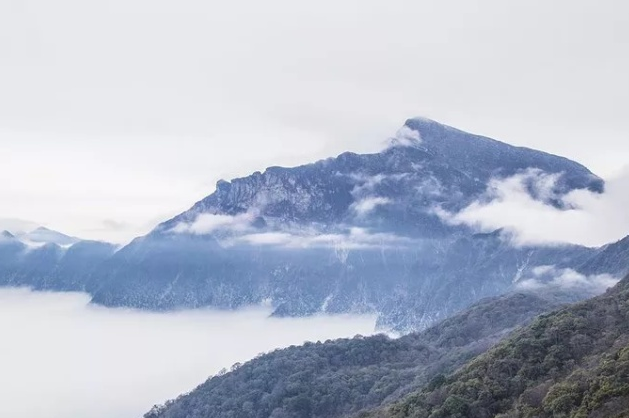 焚净山简介  梵净山景区