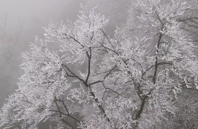 焚净山简介  梵净山景区