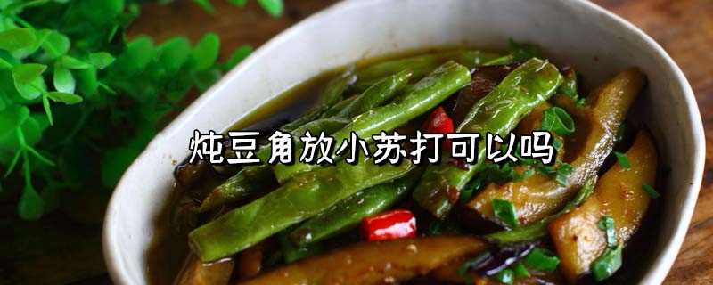 炖豆角的方法，炖豆角放小苏打可以吗？