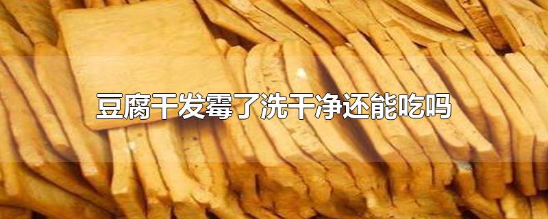 豆腐干发霉了洗干净还能吃吗 豆腐干怎么保存