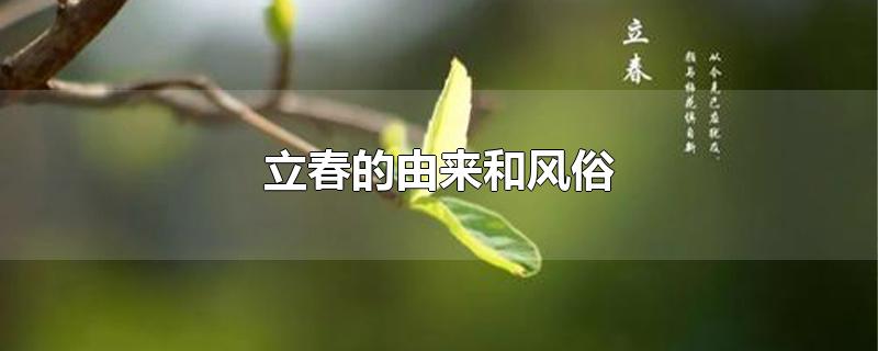 立春的由来和风俗 立春的下一个节气是什么