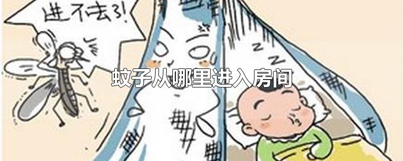 蚊子从哪里进入房间 蚊子的寿命有多长