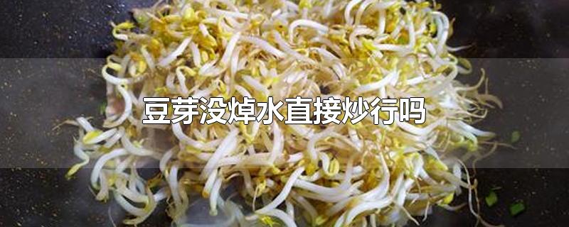 炒豆芽需要焯水吗 豆芽为什么要焯水