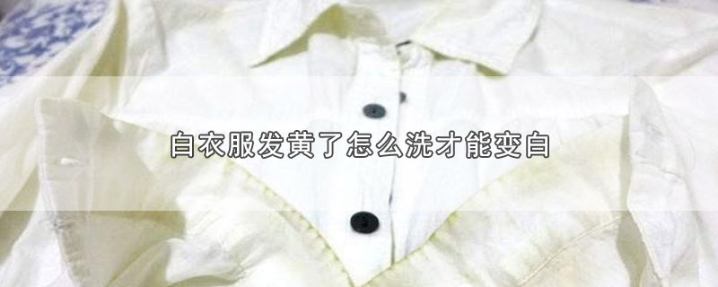 白衣服发黄了怎么洗才能变白