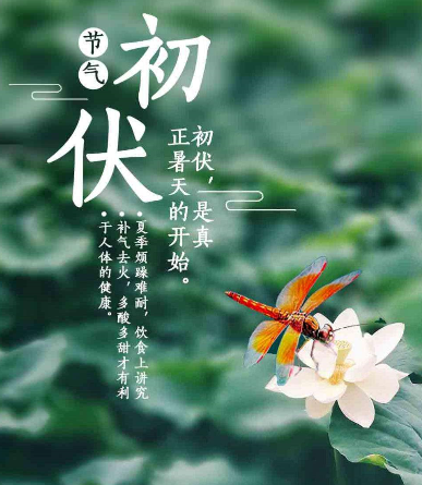 初伏节气发朋友圈文案 初伏节气说说大全