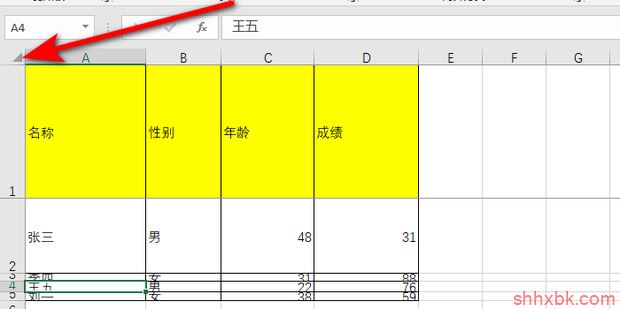 怎样设置表格同等行高