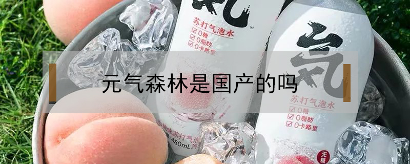 元气森林是国产的吗